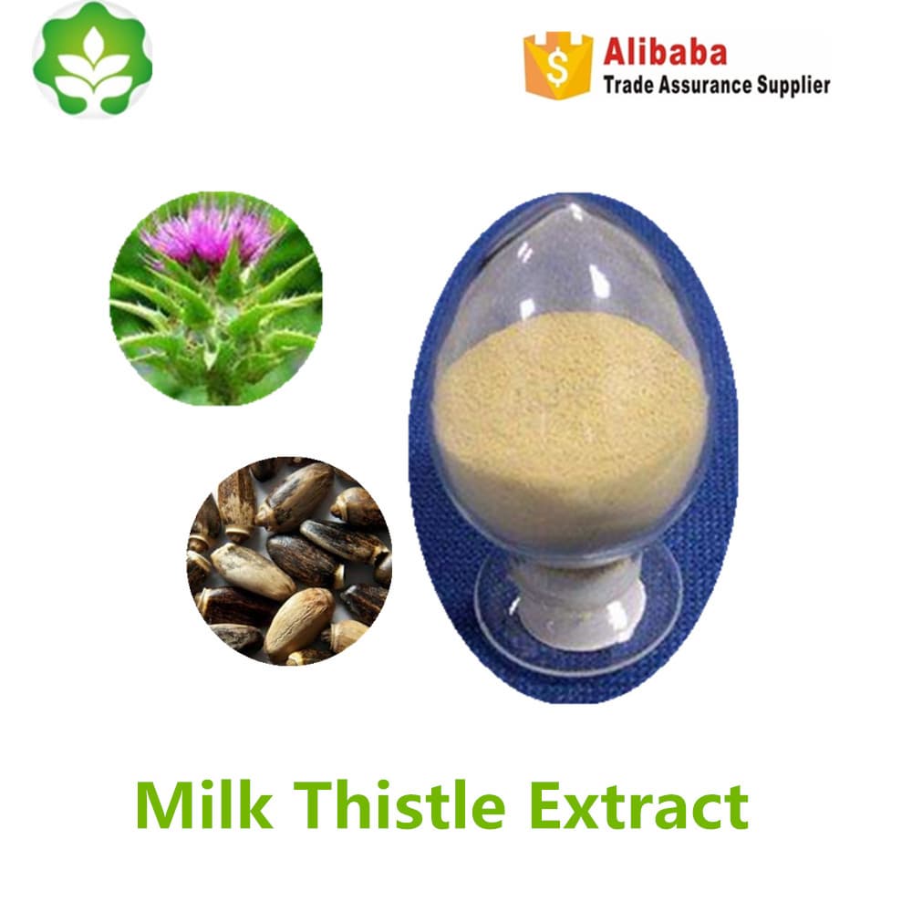 chinese supplier our lady_s thistle powder extract p_e